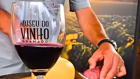 Ingresso Museu do Vinho Gramado