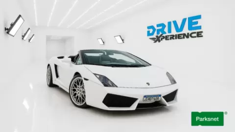 parksnet-imagem-galeria-ingresso-drivexperience-em-balneario-68ef93959e36f_0.webp