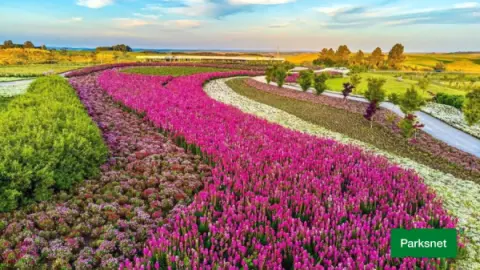 parksnet-imagem-galeria-ingresso-matria-parque-de-flores-em-gramado-rs-68facf8628de3_2.webp
