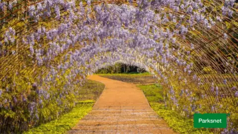 parksnet-imagem-galeria-ingresso-matria-parque-de-flores-em-gramado-rs-68facf869a5a5_3.webp