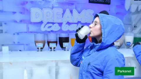 parksnet-imagem-galeria-ingressos-dreamland-ice-bar-6807c741a047c_0.webp