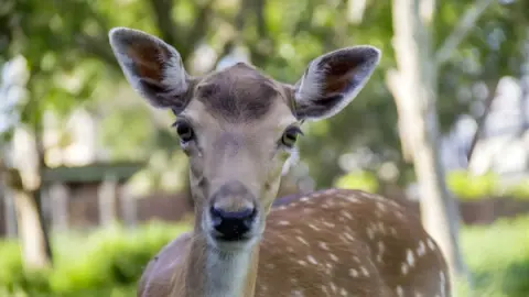 parksnet-imagem-galeria-ingressos-zoologico-de-balneario-camboriu-699c837648936_2.webp