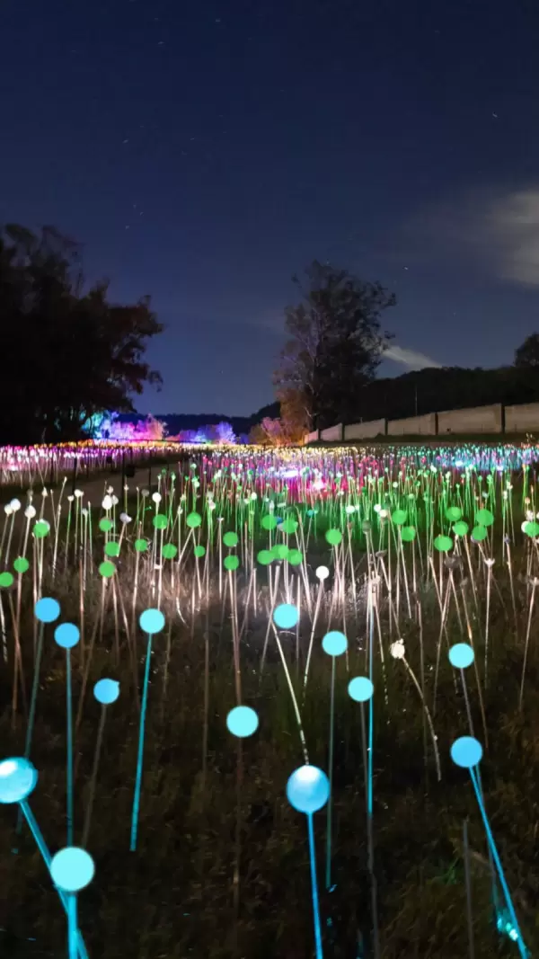 Imagem representativa: Campo iluminado Lumni. um espet&aacute;culo por si s&oacute;. Um cen&aacute;rio que parece ter sa&iacute;do de um conto de fadas, como se as estrelhas tivessem descido do c&eacute;u.