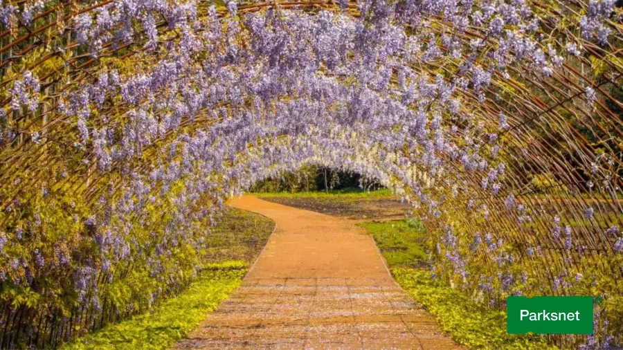 parksnet-imagem-galeria-ingresso-matria-parque-de-flores-em-gramado-rs-68facf869a5a5_3.webp