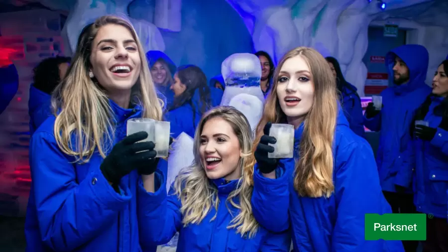parksnet-imagem-galeria-ingressos-dreamland-ice-bar-6807c7432406b_2.webp