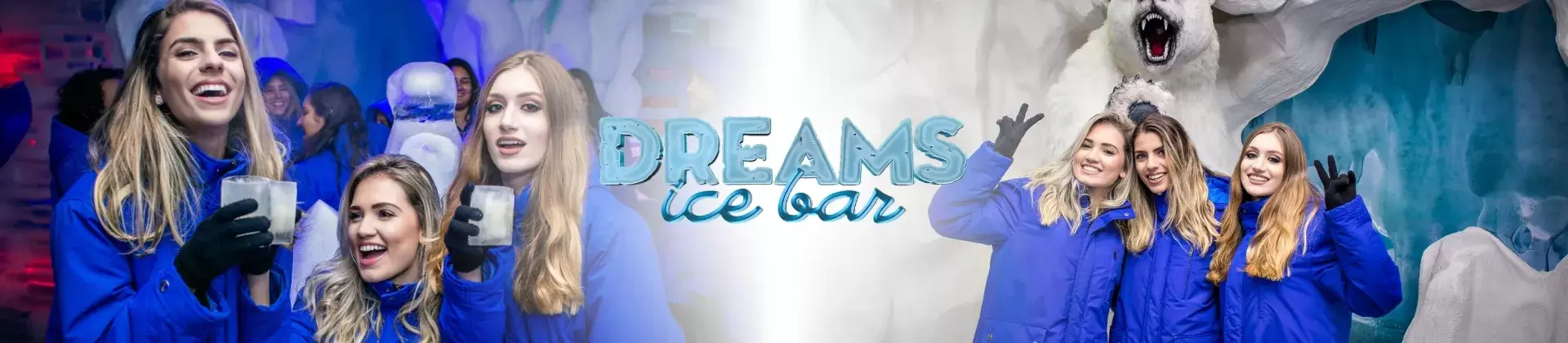 Ingressos Dreamland Ice Bar